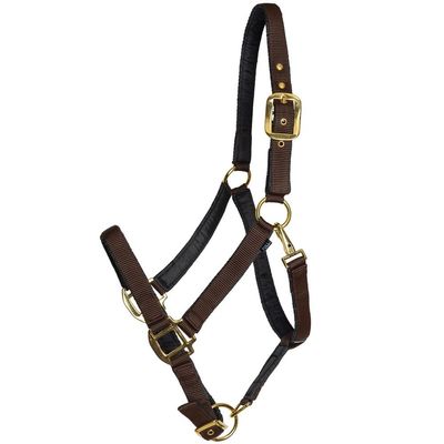 Dura-Tech Fully Padded Nylon Horse Halter | Horse Halter Designed Avoid Rubs | Adjustable Halter Horse Crown and Curb | 1 Double Ply Nylon | Halters for Horses | Cob Size | Color Brown