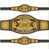HANDSY Customizable Championship Belt - Personalized Custom Wrestling Belt - Custom Championship Belts for Award Sports Events (4mm Brass) view 1