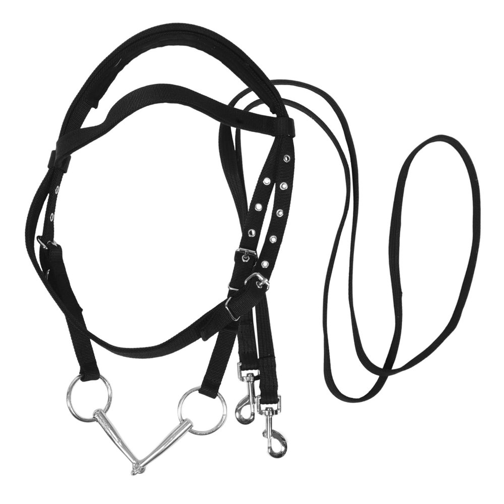 Happyyami All-Purpose Nylon Horse Halter for Training Riding and Travel Durable Bridle with Flat Braided Reins for Small Horses and Young