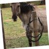 Happyyami All-Purpose Nylon Horse Halter for Training Riding and Travel Durable Bridle with Flat Braided Reins for Small Horses and Young view 3