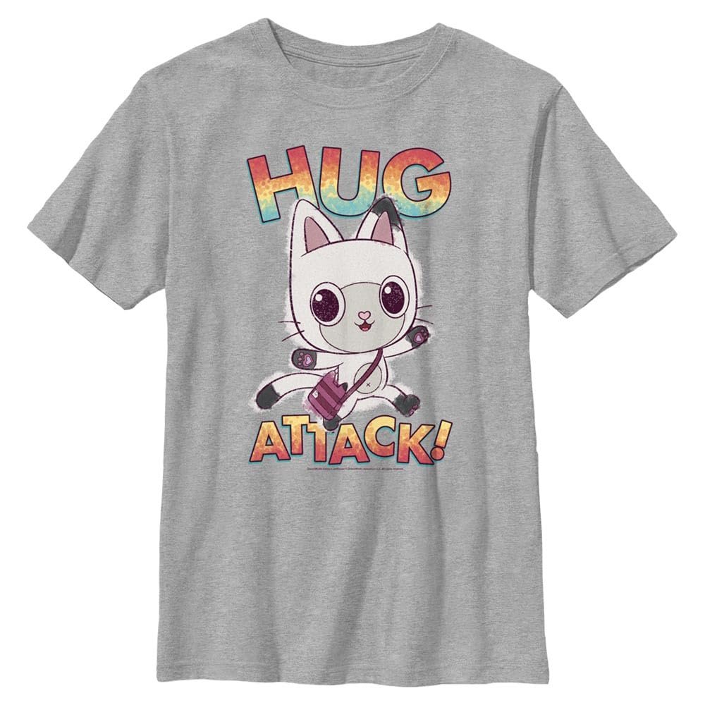 DreamWorks Gabby's Dollhouse Boys' Hug Attack Pandy Short Sleeve Crew Tee, Athletic Heather