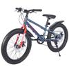 BALINGE Mountain Bike 20 Inch, 3" Wide Fat Tire Snow Mountain Bikes, 7 Speeds Kids Teen Student Bicycles,Steel Frame Disc Brake3 Colors (Blue Grey, 20 Inch) view 2