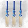 FORTRESS Cricket Team Kit Bundle | Premium Cricket Equipment Set with Kashmir Willow Bats, Protective Gear, Helmets, Stumps, Balls, & More  Ideal for Clubs, Schools, & Teams (Adult (Male)) view 2