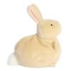 Aurora Vibrant Spring Pudgeez Stuffed Animal - Perfect for Pretend Play and Seasonal Storytelling - Adorable Decorations for The Season of Renewal - Tanner Bunny 5.5 Inches view 3