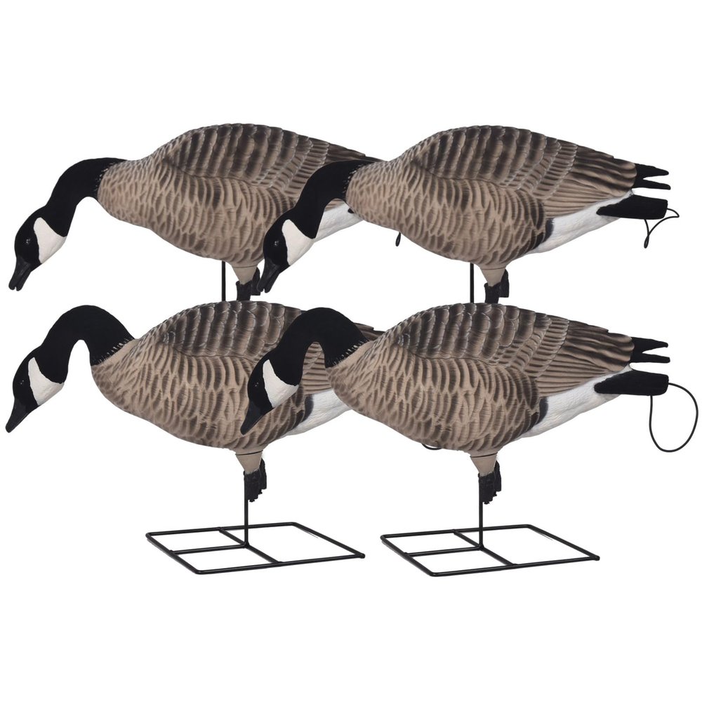 AVERY GHG XD Fully Flocked Canada Goose Decoys - Feeder 4-Pack | 1-Piece Full-Body Decoys with RealMotion Base, FlexLok Tech, DuraFeather Build & Quick-Grab Loops for Easy Carry