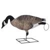 AVERY GHG XD Fully Flocked Canada Goose Decoys - Feeder 4-Pack | 1-Piece Full-Body Decoys with RealMotion Base, FlexLok Tech, DuraFeather Build & Quick-Grab Loops for Easy Carry view 2
