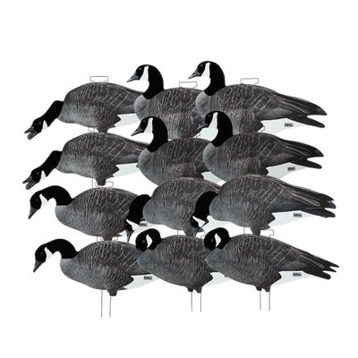 Avery Outdoors GHG FFD Pro Grade Canada Goose Silhouette Decoys
