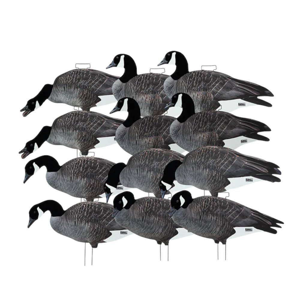Avery Outdoors GHG FFD Pro Grade Canada Goose Silhouette Decoys