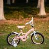 Falomin 14/16/18 Inch Childrens Bike for Toddlers Kids Ages 3-9, Safe Non-Slip Tires, Removable Training Wheels, Coaster Brake, Easy Assembly, Perfect for Boys and Girls, Pink view 3