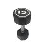 Large digital octagonal rubberized dumbbells unisex rubber dumbbells gym with models (15LB1) view 1