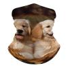 Golden Retriever Dogs Puppies Pets Neck Gaiter UPF 50+ Sun Protection Face Mask Elastic Balaclavas Bandana Cooling Face Cover Scarf Cycling Neck Warmer Breathable Headwear for Men Women view 1