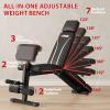 Adjustable Weight Bench with Leg Extension Preacher Pad, 880LBS Capacity Workout Bench Multi-function Bench Press Full Body Workout, Incline Decline Bench for Home Gym Strength Training view 2