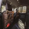 ALPS OutdoorZ Nomad Vehicle Organizer  Mossy Oak Bottomland Camo Seat Back Organizer with MOLLE Webbing, Multiple Storage Pockets & Adjustable Straps for Hunting, Overlanding & Truck Gear view 4