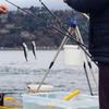 TOGEVAL 4pcs Fishing Pole Holders Durable Rod Stands for Bank Fishing Lightweight and Stable Design for Organizing view 3