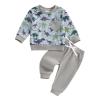 LIOMENGZI Toddler Baby Boy Dinosaur Outfits Funny Animal Sweatshirts Dinosaur Pants Set Infant Clothes 6 12 18 24Months 2T (Light Gray, 2-3T) view 1