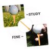 OHPHCALL Wood Small Golf Tee Golf Ball Stands Spikes Replaceable Tee Accessory for Holder view 3