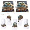 Chicken Neck Gaiter UPF 50+ Sun Protection Face Mask Elastic Balaclavas Bandana Cooling Face Cover Scarf Cycling Neck Warmer Breathable Headwear for Men Women view 4