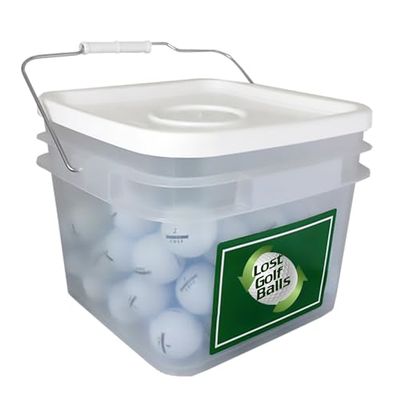 LostGolfBalls - B XS Golf Balls for Bridgestone Golf - 4 Dozen + 1 Free Dozen! Near Mint Quality, Recycled & Used Golf Balls Offering Pure Performance & Unmatched Value!