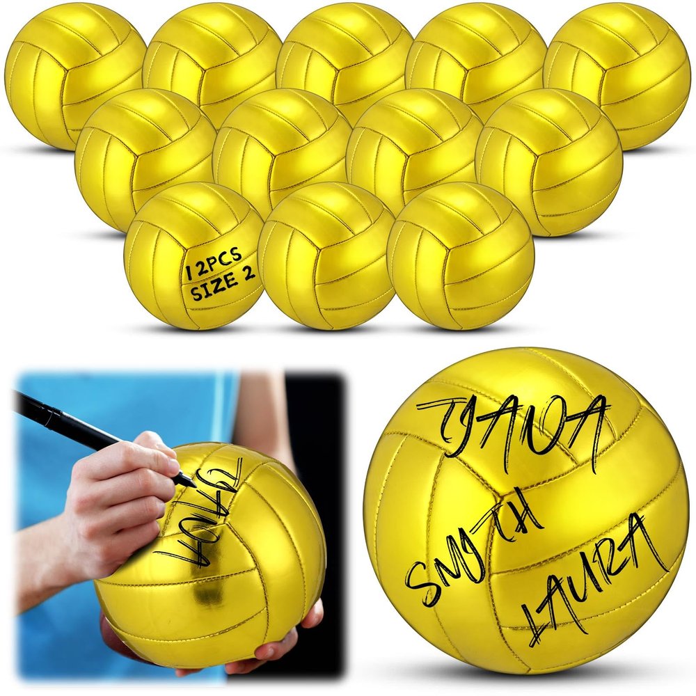 WinnerWhy 12 Pcs Gold Autograph Volleyball Official Mini Trophy Volleyball Golden Custom with Air Pump for Trophies Anniversary College Coaching Gift Awards Party (Size 2)