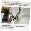 Beatifufu 6pcs Deer Skull Hanger Wall-Mounted Decorative Hook for Indoor and Outdoor Display Sturdy Euro Mount Skull Rack for Home and view 3