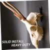 Beatifufu 6pcs Deer Skull Hanger Wall-Mounted Decorative Hook for Indoor and Outdoor Display Sturdy Euro Mount Skull Rack for Home and view 4