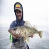 Northland Tackle Ice Fishing Thumper Spoon, Stamped Brass Flutter Spoon Ice Fishing Lure for Walleye, Crappie, & More, 10 Colors, UV Glo Perch, 1/16 Oz view 4