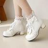 Goth Platform Boots Lace Up Chunky High Heels Ankle Boots with Bow Gothic Cosplay Booties Zipper Punk Shoes view 3