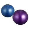 OHPHCALL 2pcs Thickened Ball Anti-Burst Balancing Stability Trainer for Home Gym Workouts Blue Purple Strengthen Core Improve Coordination view 1