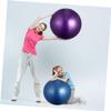 OHPHCALL 2pcs Thickened Ball Anti-Burst Balancing Stability Trainer for Home Gym Workouts Blue Purple Strengthen Core Improve Coordination view 2