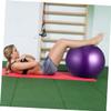 OHPHCALL 2pcs Thickened Ball Anti-Burst Balancing Stability Trainer for Home Gym Workouts Blue Purple Strengthen Core Improve Coordination view 3