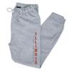 CornBorn Illinois Fighting Illini Jogger Sweatpants - Premium Fleece Vertical Illinois Fighting Illini - Gray - Large view 1