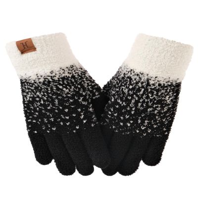 DS DADOU&XIAOSHAN Winter Gloves For Women, Womens Gloves With Touchscreen Fingers For Cold Weather Thermal Mitten Fleece Line