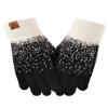 DS DADOU&XIAOSHAN Winter Gloves For Women, Womens Gloves With Touchscreen Fingers For Cold Weather Thermal Mitten Fleece Line view 1