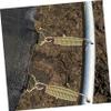 BESPORTBLE 1set Replacement Trampoline Springs Heavy-Duty Galvanized Steel Tension Springs Hooks for Outdoor Trampolines Jumping Easy to Install view 2