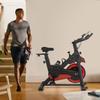 Exercise Bike Indoor Workout Bike Stationary Cycling Bike Fitness Magnetic Resistance Training Bike with Comfortable Seat Cushion LCD Monitor for Home Gym, Black view 3