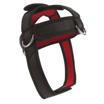 Toddmomy Professional Neck Trainer Head Harness Weight Lifting for Spine Alignment Resistance Harness Neck Hump Corrector for Women
