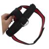 Toddmomy Professional Neck Trainer Head Harness Weight Lifting for Spine Alignment Resistance Harness Neck Hump Corrector for Women view 3