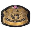 NineFit Basics Undisputed World Heavyweight Wrestling Title Belt Replica, Universal Championship Title Belt - Adult Size, Gold, 2 mm view 1