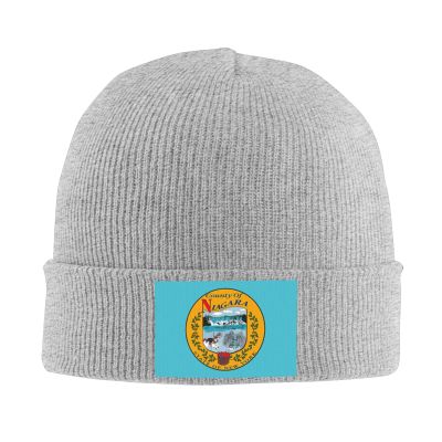 QIKLMMA Niagara Flag Beanie for Men Women Winter Knit Hats Cuffed Skull Cap Ski Hat Gray