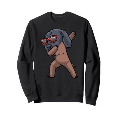avarian Mountain Hound Dabbing Funny Design Sweatshirt