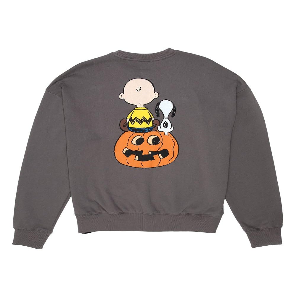 Rsq x Peanuts Together Mens Oversized Crewneck Sweatshirt, Dark Grey, Medium