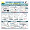 Fishermen's Offshore Big Gamefish Bait Rigging #5 (Dolphin, Billfish, Kingfish, Wahoo, & More) - Waterproof Quick Reference Guide | Portable & Built to Last | Double-Sided & Easy to Read view 1