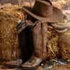 Horse Spurs Steel with Copper Spurs Anti-Rust Horse Racing Equipment Horse Riding Spurs West Cowboy Horse Boot Spurs view 4