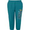 NFL Kids Youth 8-20 Officially Licensed Team Banner Primary Logo Fleece Lined Football Sweatpants Joggers Pants (Jacksonville Jaguars - Teal, Medium 10-12) view 1
