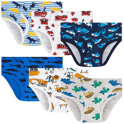 JAHSIYI Boys Underwear Size 10-12 Briefs Age 11 12 Year Old Big Kids 100% Cotton Underpants Large Stretch Dinosaur Shark Theme Undies Sz L Children Clothes