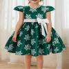 Baby Toddler Christmas Dress Girls Princess Year Holiday Pageant Party Wedding Bridesmaid Tutu Dress Bowknot Striped Snowflake Gown White Snowflake Green 3-4T view 2