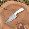 DREVNI STEEL Hunting Knife Bone Handle view 4