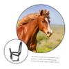 COOLHIYA Safety Nylon Horse Collar for Training and Riding Rope Design for Horse view 2