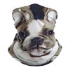 VFMNT Neck Gaiter for Women Men Cute French Bulldog Bandana Balaclava Face Mask Elastic Face Scarf Windproof Head Wrap Cooling Breathable Face Cover for Cycling Sports Outdoor view 1