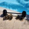 AquaLogix Hydrorevolution Ultimate Pool Exercise Bundle | Medium Resistance Water Weights | Water Exercise Equipment Smoke Bells, Fins & Aquastrength Barbell (Smoke with Black Barbell) view 1